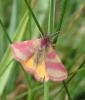 253826 – Photo : Catherine Reymonet-Smitten – France (19)